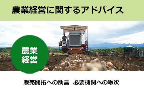 農業経営に関するアドバイス